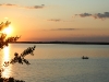 Sunset view over Lake Petenwell