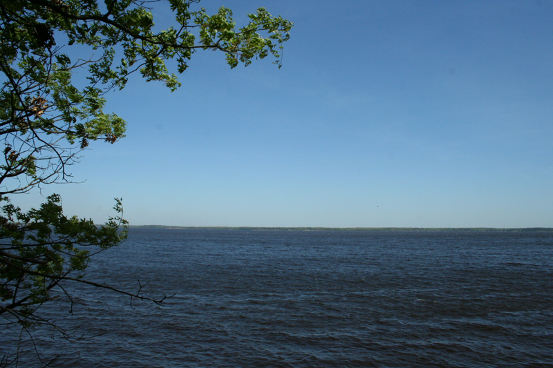 Lake view