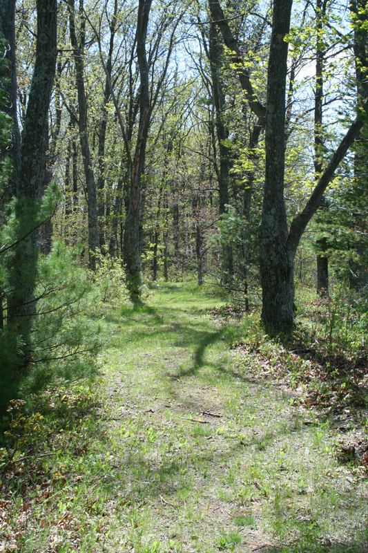 Lakeside Trail