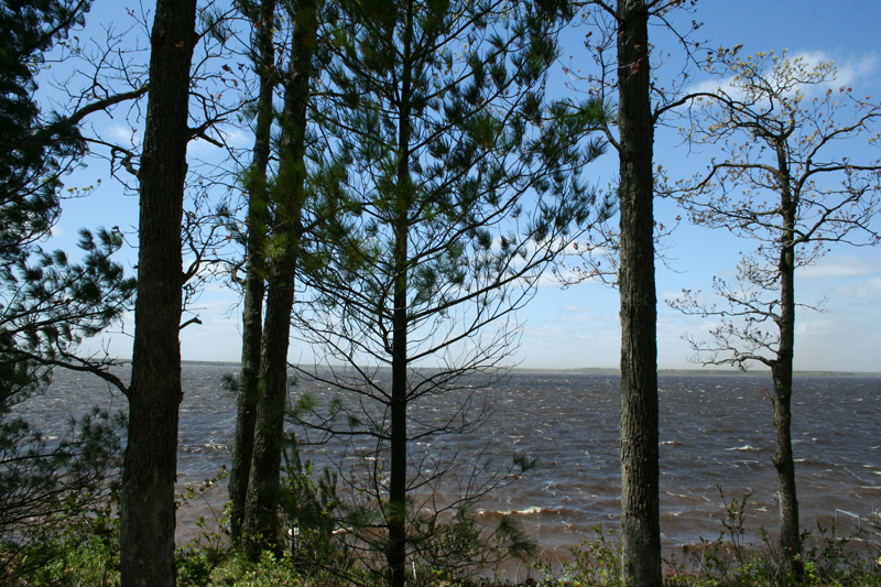 Lakeview