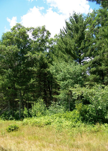 WWS 14 View From Road