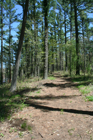 Lake Petenwell lakeside trail1